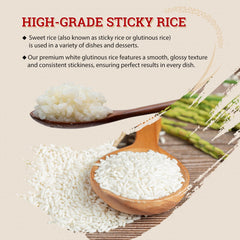 52USA Sweet Sticky Rice mango dessert image illustrating ready-to-serve dish.