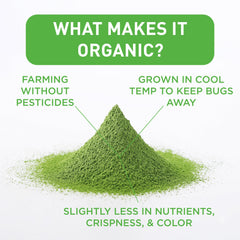 AIYA Matcha from Nishio, Japan highlighting authentic origin.