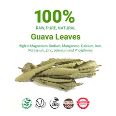 Akshit dried guava leaves bulk, ready for custom tea blends.