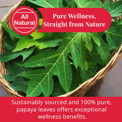Akshit sun-dried papaya leaves preserving aroma and color.