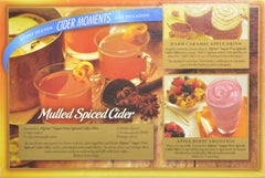 Alpine Spiced Apple Cider Sugar Free pouch ready to mix with hot water
