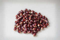 Amish Country Popcorn red kernel close-up – vibrant color for popping