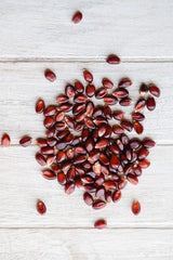 Close-up of Amish Country Popcorn red kernels for tasty snacking.
