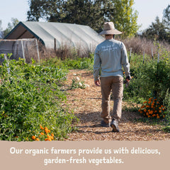 Amy's Chilis organic medium chili label highlighting non-GMO and vegan notes