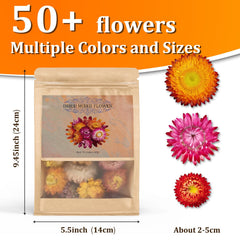Andekas edible flowers on cocktails showcase vibrant garnish options.