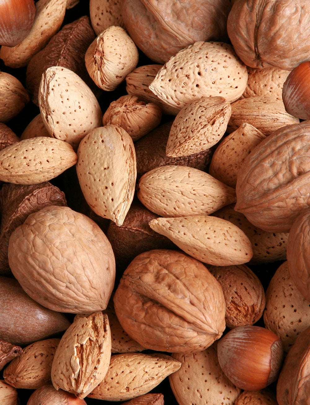 Anna and Sarah premium mixed nuts in shell closeup for fresh snacking