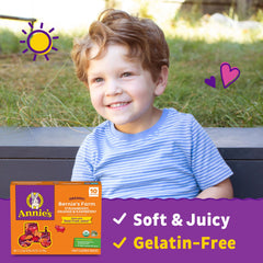 Organic ingredients and non-GMO sourcing emphasize wholesome snack choice