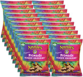 Annie's Organic Friends Bunny Grahams chocolate chip 20-pack, kid-friendly lunchbox snack.