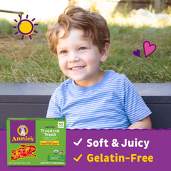 Annie's Organic Tropical Treat Bunny Snacks single pouch, convenient for on-the-go snacking.
