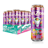 Arizona Fruit Punch can front view with bold label for on-the-go refreshment