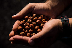 AZNUT hazelnuts kosher certified suitable for diverse diets.