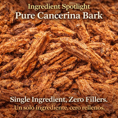 Calluna vulgaris leaf detail from the Cancerina blend showing natural origin