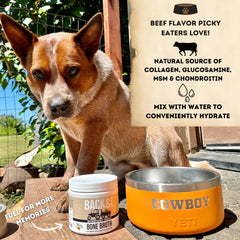 Back 40 Dogs bone broth powder closeup label showcases quality ingredients