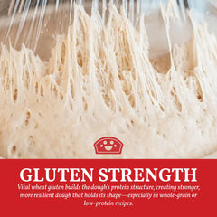 BAKERS CLUB Vital Wheat Gluten seitan slices highlight plant-based protein versatility