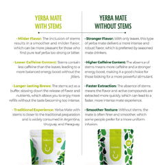 BALIBETOV hot serve mug with unsmoked yerba mate aroma.
