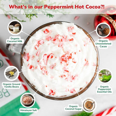 Graphic of six ingredients: coconut milk powder, coconut sugar, cacao, vanilla, salt, peppermint.