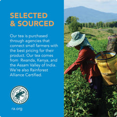 Barry's decaf tea bags steeping in a mug reveal a rich aroma and satisfying flavor.