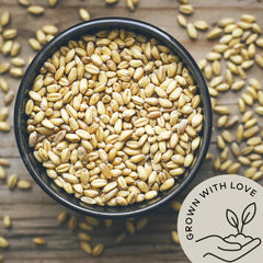 Be Still Farms hulled barley ground flour idea, easy to bake or thicken recipes.