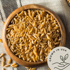 Be Still Farms Kamut wheat berries close-up of large kernels