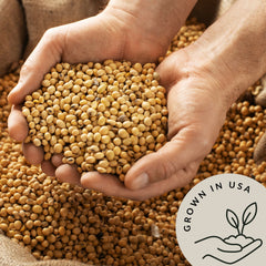 Be Still Farms soybeans used to make creamy soy milk