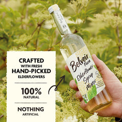 Belvoir elderflower blossoms close-up from syrup ingredients