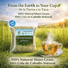 B-Experts Horsetail Tea packaging highlights farm-fresh, hand-selected quality in every batch.