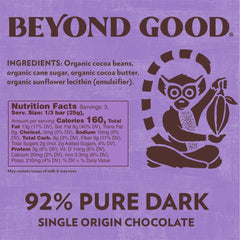 Beyond Good Madagascar cocoa bean close-up with deep color and red fruit hints