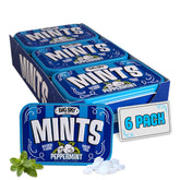Big Sky Peppermint Mints tin front view showing travel-friendly packaging