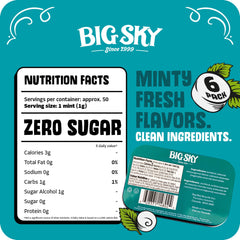 Close-up of Big Sky Wintergreen Mints with smooth-dissolving texture for quick refreshment.