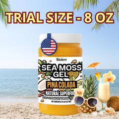 Biolore Sea Moss Gel Pina Colada smoothie-boost highlights easy vegan addition for healthy meals