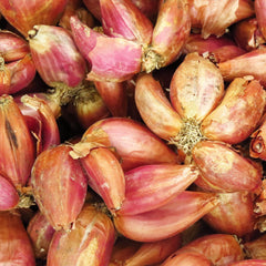 Birch & Meadow freeze-dried shallots ready to use in cooking.
