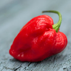 Birch & Meadow gloved hands handling hot peppers safely in kitchen