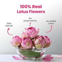 BLUE TEA Pink Lotus Tea canister preserves flavor and aroma