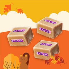 Brach's caramels for fall snacks and seasonal treats.