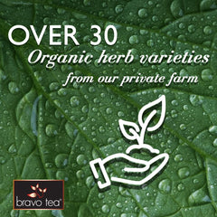 Bravo Tea Blood Circulation tea packaging shows premium, hand-crafted herbs for wellness-inspired moments.
