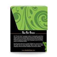 Buddha Teas Moringa Tea moringa leaves in vibrant green close-up.