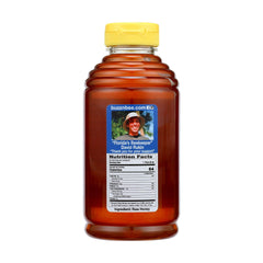 Buzzn Bee raw Florida honey closeup reveals pollen-rich natural goodness.