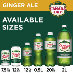 Canada Dry Zero Sugar Ginger Ale refreshing sip—crisp flavor in every sip.