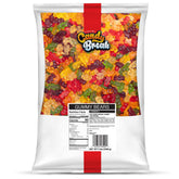 Candy Break Gummy Bears mixed flavors in a 5lb bag for sharing and snacking