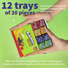 Canel's apple gum 4-piece pack offers light, refreshing taste after meals.