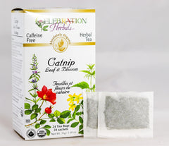 Celebration Herbals catnip leaf closeup highlights organic aroma and soothing herbal notes.