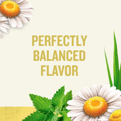 Close-up of chamomile flowers for a fragrant relaxing tea experience