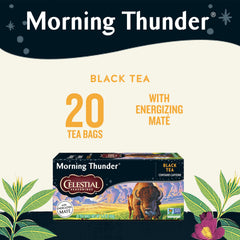 Celestial Seasonings Morning Thunder cup steaming, ideal for a morning energy lift.