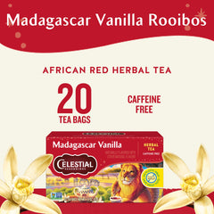 Celestial Seasonings Rooibos Madagascar Vanilla cup delivers comforting aroma and evening calm.