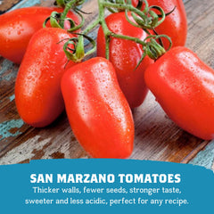 Cento San Marzano thick puree with basil, ready for simmered soups and hearty dishes