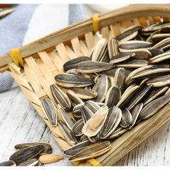 ChaCha roasted sunflower seeds close-up shows large, plump kernels.