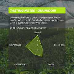 Chazoku Okumidori powder close-up highlighting silky texture for microfoam.