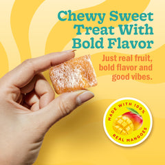 Chici Mama bites ingredients highlighting real mango and fruit-based goodness.