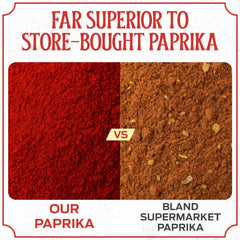 CHILI-TRADE Hungarian Sweet Paprika powder in spoon for vibrant color in dishes.