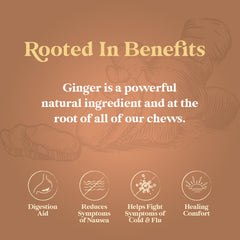 Chimes Original Ginger Chews individual pieces arranged for quick snacking.